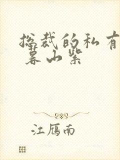 总裁的私有宝贝 暮山紫