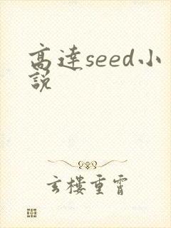 高达seed小说封面