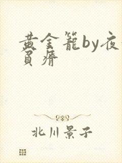 黄金笼by夜很贫瘠封面