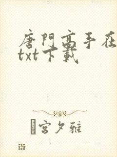 唐门高手在异世txt下载