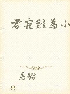 君宠难为小说