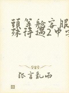 头等舱客服的特殊待遇2中字