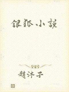 银狐小说