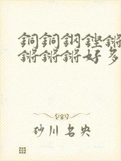 铜铜钢铿锵锵锵锵锵锵好多少阅读封面