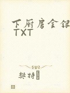 下厨房金银花露 TXT封面