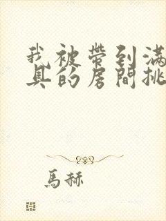 我被带到满是玩具的房间挑调游戏