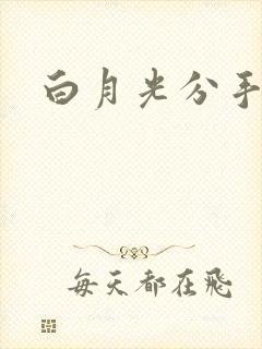 白月光分手日常