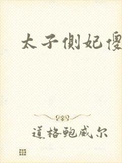 太子侧妃傻乎乎