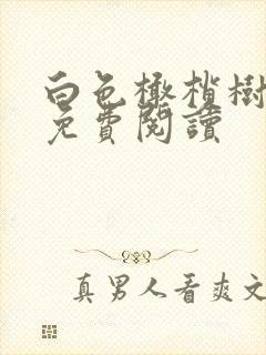 白色橄榄树全文免费阅读