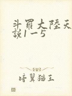 斗罗大陆天狂传说1一5