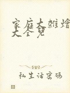 家庭大杂烩小说大全儿封面