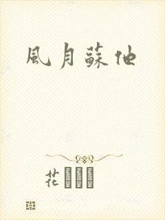 风月苏他封面