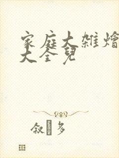 家庭大杂烩小说大全儿封面