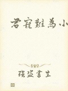 君宠难为小说