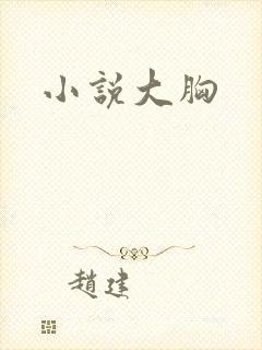 小说大胸封面