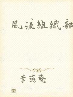风流组织部长封面
