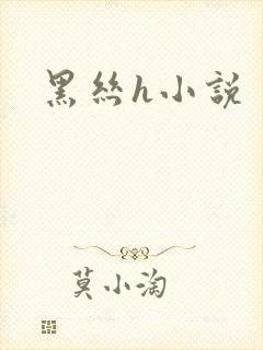 黑丝h小说封面