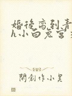 婚后脔到青梅哭h小白兔宫交h