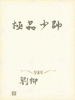 极品少帅