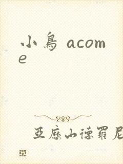 小鸟 acome封面