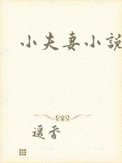 小夫妻小说封面