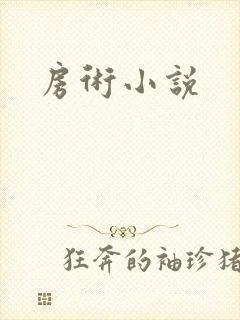 房术小说