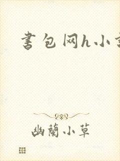 书包网h小说