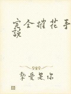 完全摧花手册小说封面