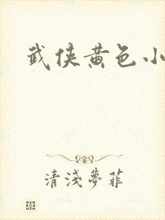武侠黄色小说封面