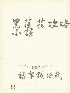 黑莲花攻略手册小说