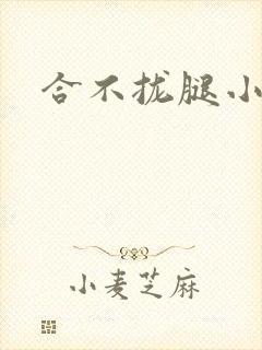 合不拢腿小说