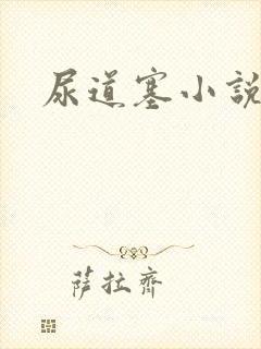 尿道塞小说