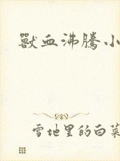 兽血沸腾小说
