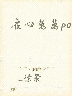 夜心万万po