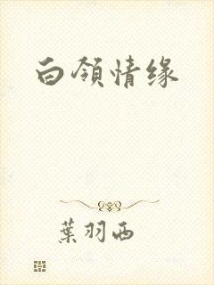 白领情缘封面