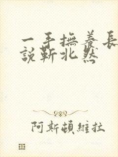 一手抚养长大小说靳北然封面