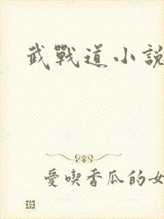 武战道小说