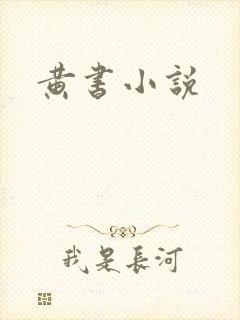 黄书小说