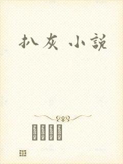 扒灰 小说封面