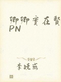 卿卿实在贤良NPN
