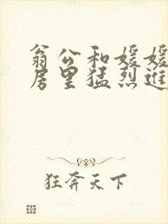 翁公和媛媛在厨房里猛烈进出