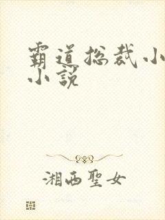 霸道总裁小娇妻小说