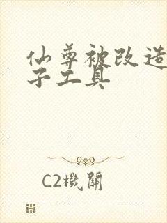 仙尊被改造成产子工具