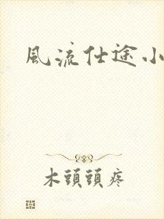风流仕途小说封面
