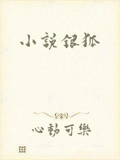 小说银狐