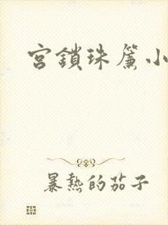 宫锁珠帘小说