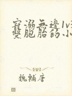 宠溺无边1v3双胞胎的小说