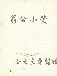 翁公小莹封面