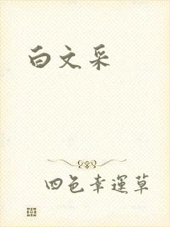 白文采