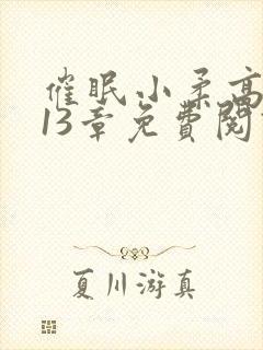 催眠小柔高达第13章免费阅读